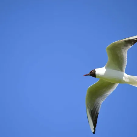 Nordseehof Fuhlehoern * Нордштранд