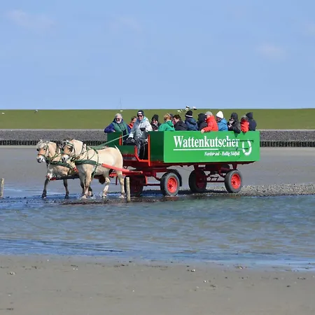 Nordseehof Fuhlehoern Апартаменты
