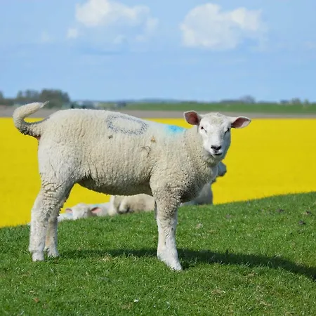 Nordseehof Fuhlehoern *